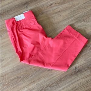 💥CLEARANCE💥 NWT LOFT Julie Cropped Pants
